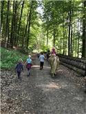 Veranstaltungsbild Pferdespaziergang